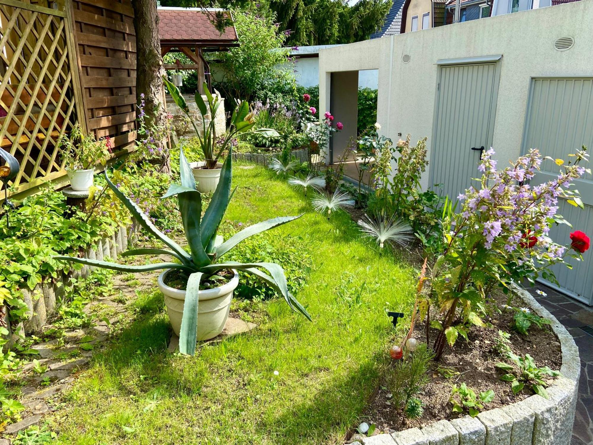 Apartament Regenbergblick Zella-Mehlis Zewnętrze zdjęcie